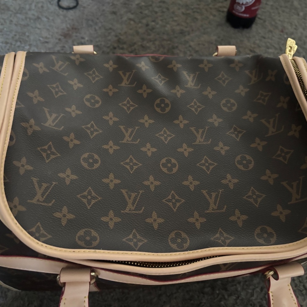 Louis Vuitton dog carrier - Picture 3 of 8